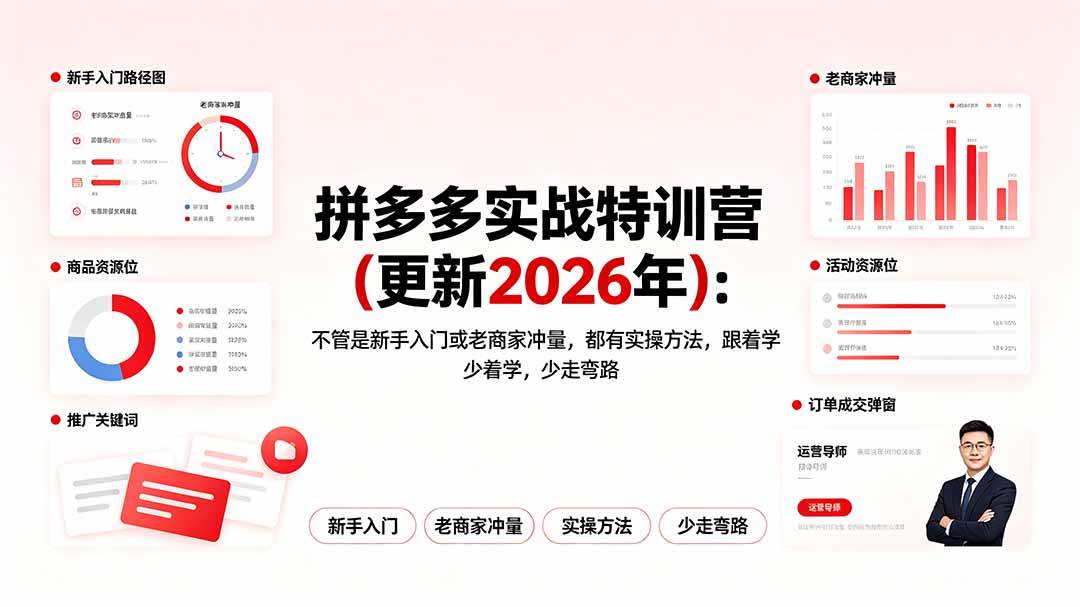（19291期）拼多多实战特训营(更新2026年)：不管是新手入门或老商家冲量，都有实操方法，跟着学，少走弯路-云创网