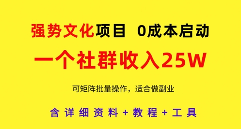 强势文化项目，一个社群收入25个W，0成本启动，可矩阵批量操作，原创详细实操教程-云创网