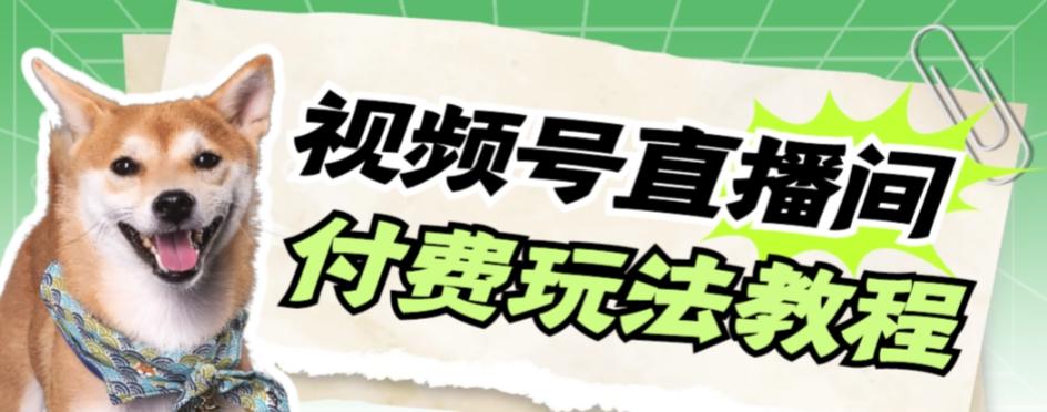 视频号美女付费无人直播，轻松日入500+【详细玩法教程】-云创网