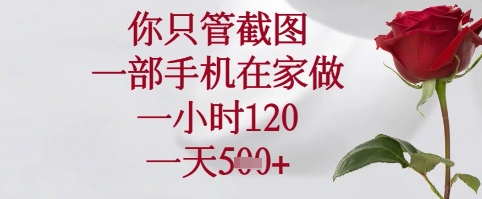 你只管截图，一部手机在家可以做，一小时120.一天5张+【揭秘】-云创网