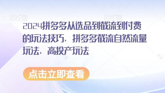 2024拼多多从选品到截流到付费的玩法技巧，拼多多截流自然流量玩法，高投产玩法-云创网