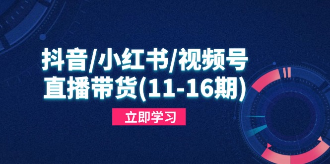 抖音/小红书/视频号/直播带货(11-16期-云创网