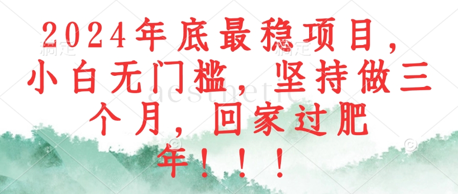 2024年底最稳项目，小白无门槛，坚持做三个月，回家过肥年！！！-云创网