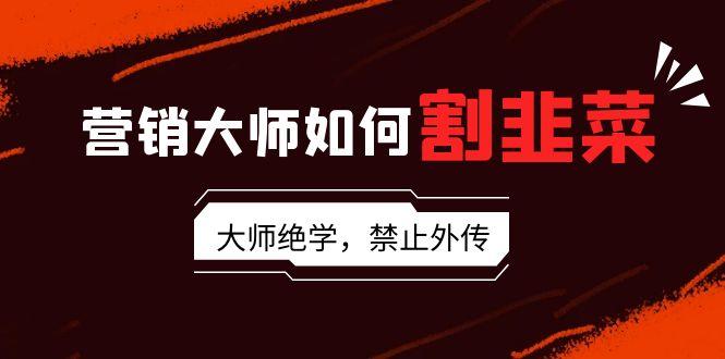 营销大师如何割韭菜：流量大师/讲故事大师/话术大师/卖货大师/成交大师/…-云创网