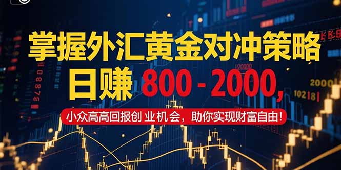 掌握外汇黄金对冲策略，日赚 800 – 2000，小众高回报创业机会，助你实…-云创网