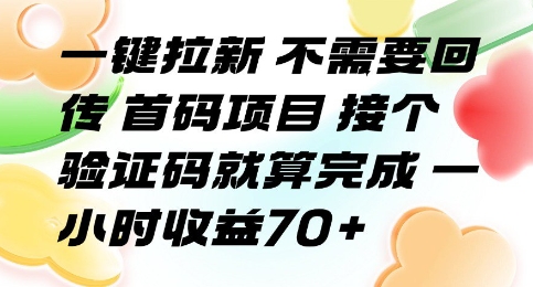 一键拉新 不需要回传 首码项目 接个验证码就算完成 一小时收益70+【揭秘】-云创网