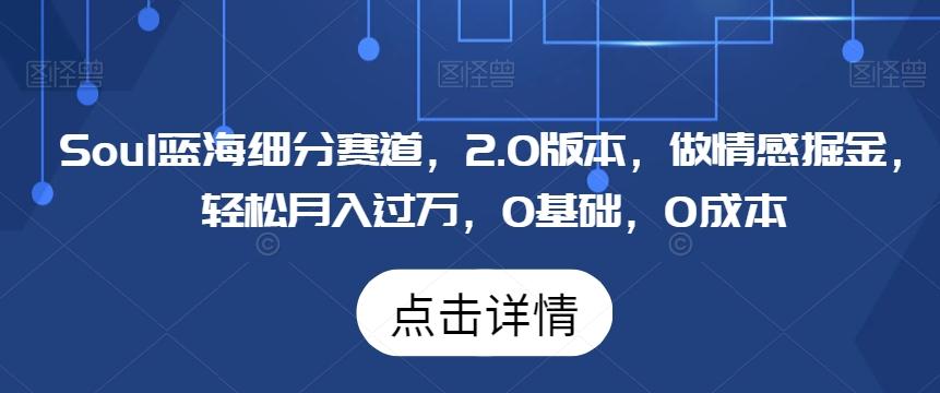 Soul蓝海细分赛道，2.0版本，做情感掘金，轻松月入过万，0基础，0成本-云创网