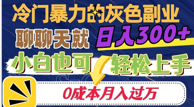冷门暴利的副业项目，聊聊天就能日入300+，0成本月入过万【揭秘】-云创网