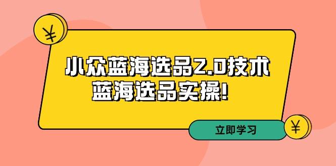 拼多多培训第33期：小众蓝海选品2.0技术-蓝海选品实操！-云创网
