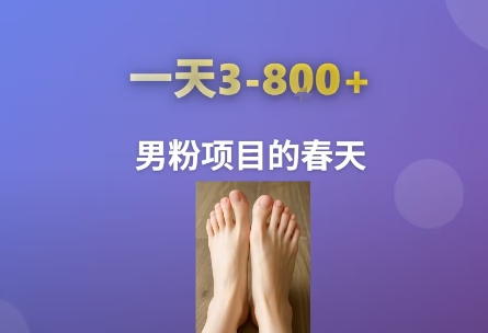 AI一键生成美女素材，一天收益3-8张，男粉项目的春天-云创网