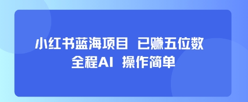 小红书蓝海项目，全程AI，操作简单，已挣五位数-云创网