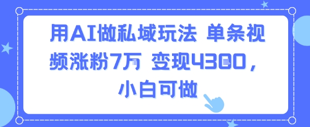 用AI做私域玩法，单条视频涨粉7W变现4.3k，小白可做-云创网