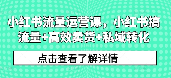 小红书流量运营课，小红书搞流量+高效卖货+私域转化-云创网