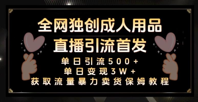 全网独创真人主播+无人直播单日引流500+，橙人用品暴力卖货单日变现3W+保姆似教学2.0【揭秘】-云创网