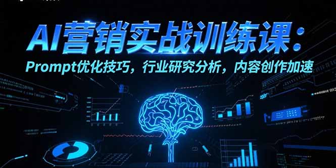 AI营销实战训练课：Prompt优化技巧，行业研究分析，内容创作加速-云创网