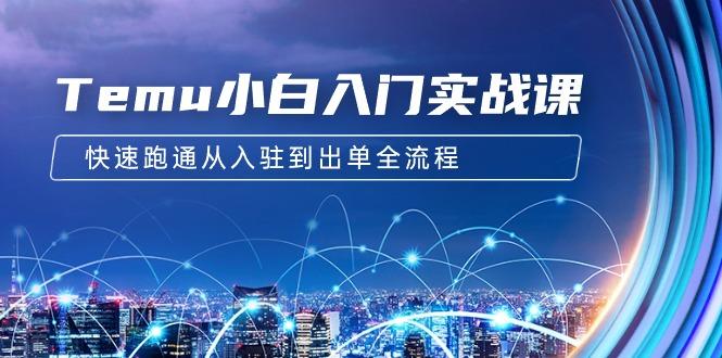 (9295期)Temu小白入门实战课：跨境拼多多电商培训 快速跑通从入驻到出单全流程-12节-云创网
