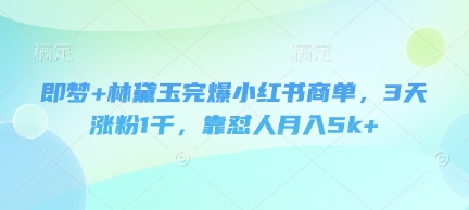 即梦+林黛玉完爆小红书商单，3天涨粉1千，靠怼人月入5k+-云创网