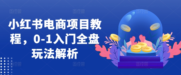 小红书电商项目教程，0-1入门全盘玩法解析-云创网