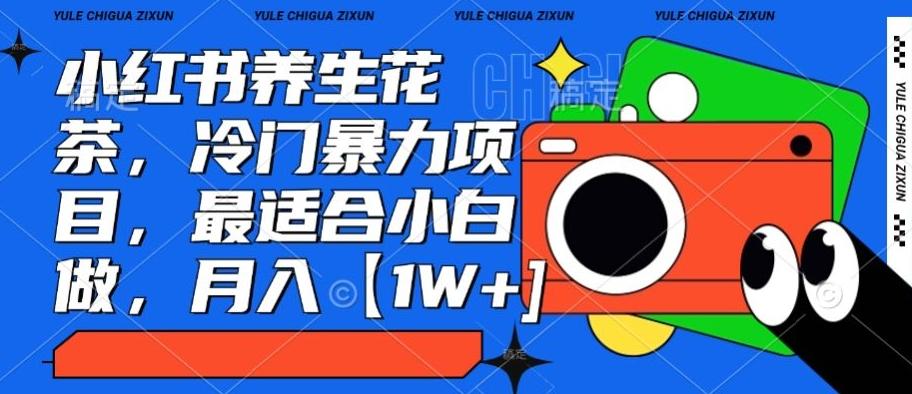小红书养生花茶，冷门暴力项目，最适合小白做，月入【1W+】-云创网