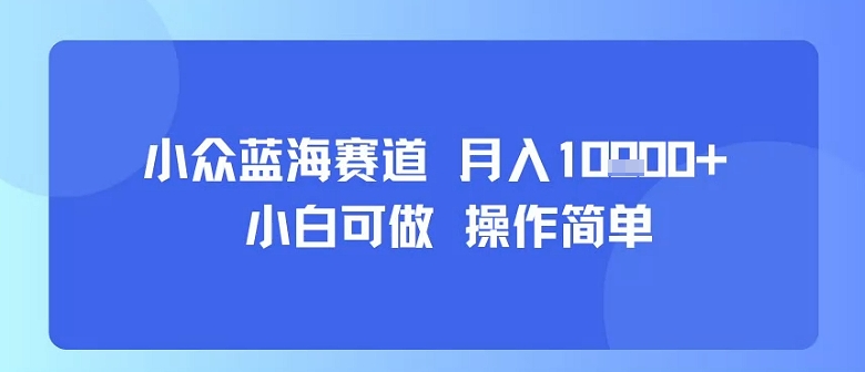 小众蓝海赛道，小白可做，操作简单，每天30分钟，月入1W+-云创网