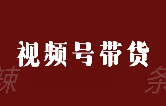 视频号带货联盟，赚信息差的带货钱，只需手机随时随地都可以做！-云创网