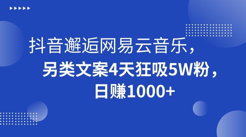 抖音邂逅网易云音乐，另类文案4天狂吸5W粉，日赚1000+【揭秘】-云创网