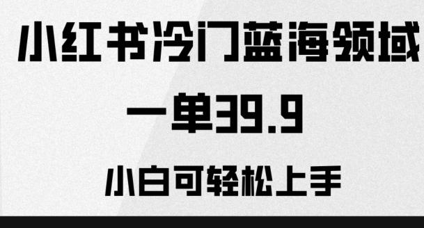 小红书冷门蓝海领域，一单39.9，小白可轻松上手-云创网