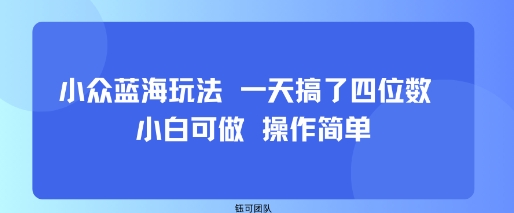 小众蓝海玩法 一天搞了四位数 小白可做 操作简单-云创网