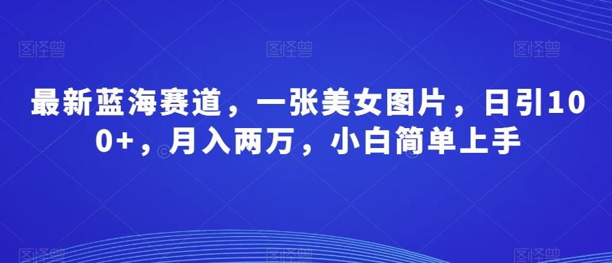 最新蓝海赛道，一张美女图片，日引100+，月入两万，小白简单上手-云创网