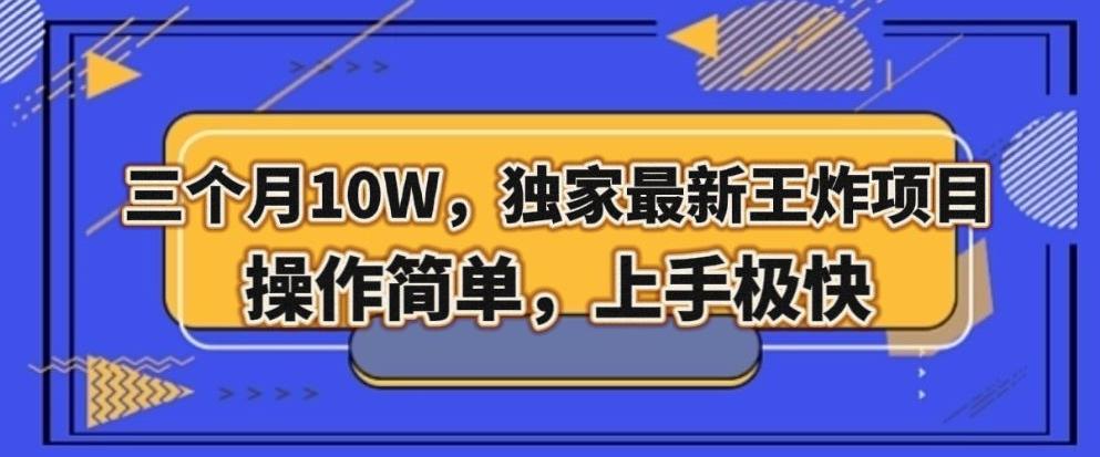 三个月10W，独家最新王炸项目！操作简单，上手极快【揭秘】-云创网