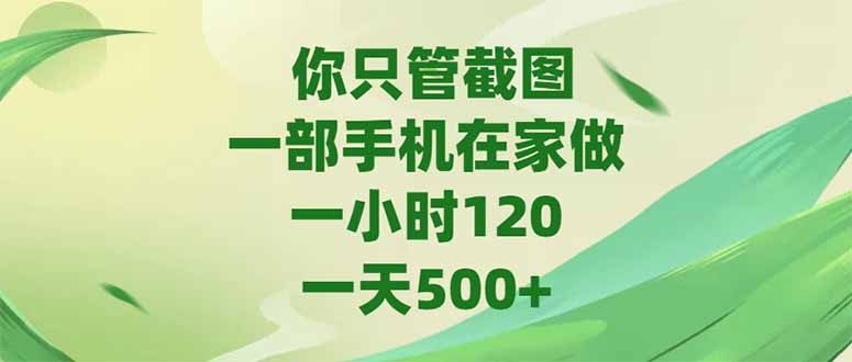 你只管截图，一部手机在家做，一小时120，-天500+-云创网
