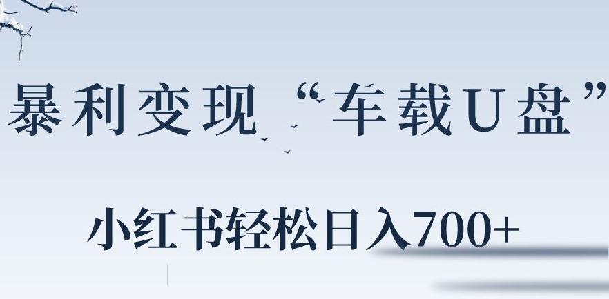 小红书“车载U盘”暴利引流，日入700+-云创网
