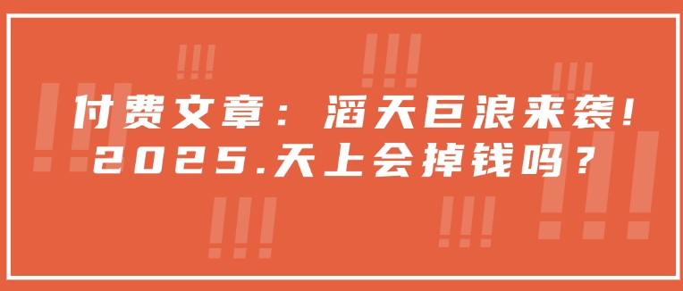 付费文章：滔天巨浪来袭！2025天上会掉钱吗？-云创网
