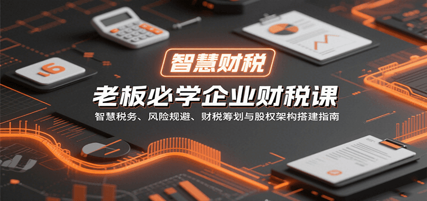 老板必学企业财税课：智慧税务、风险规避、财税筹划与股权架构搭建指南-云创网