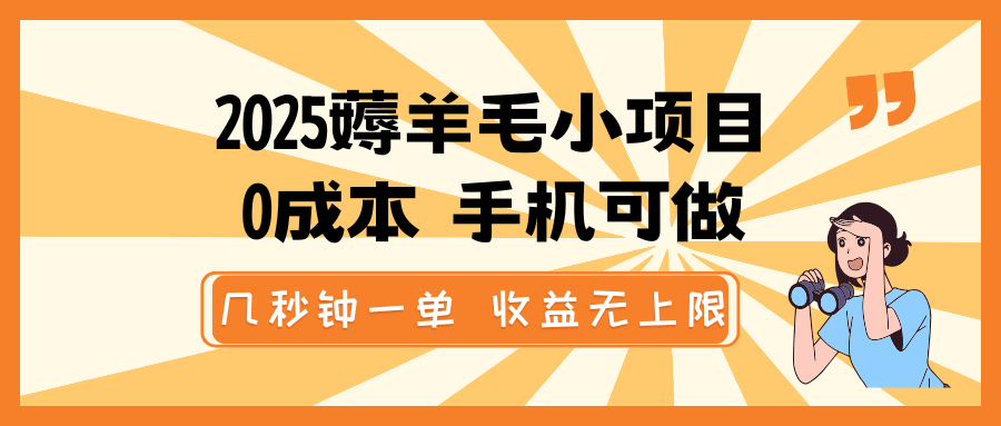 2025薅羊毛小项目，0成本 手机可做，几秒钟一单，收益无上限-云创网