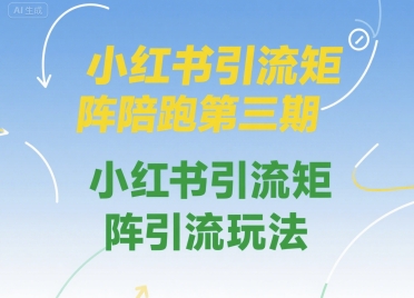小红书引流矩阵陪跑第三期，小红书引流矩阵引流玩法-云创网