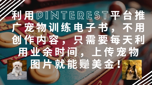利用Pinterest平台推广宠物训练电子书，不用创作内容，只需要每天利用业余时间，上传宠物图片就能挣美金!-云创网