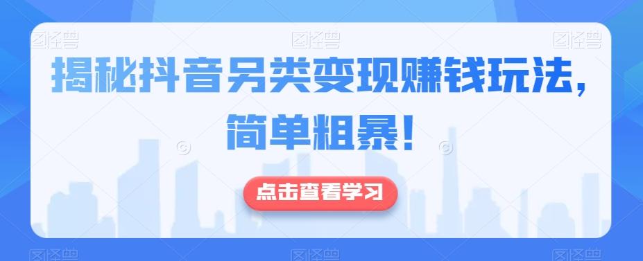 揭秘抖音另类变现赚钱玩法，简单粗暴！-云创网