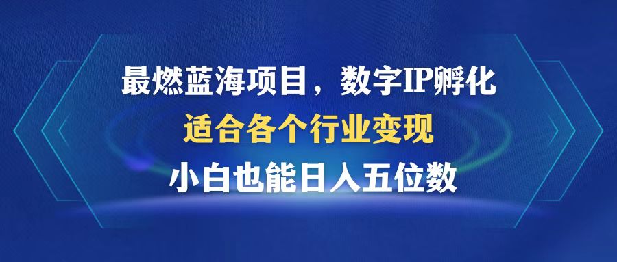 最燃蓝海项目  数字IP孵化  适合各个行业变现  小白也能日入5位数-云创网