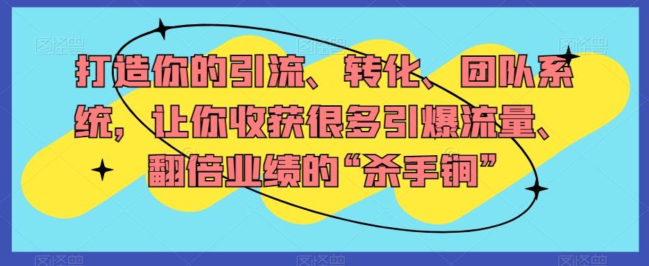 打造你的引流、转化、团队系统，让你收获很多引爆流量、翻倍业绩的“杀手锏”-云创网
