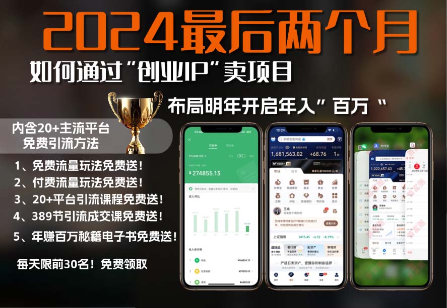 2024最后两个月如何通过”创业IP“卖项目年入”百万“,创业IP+最强引流…-云创网
