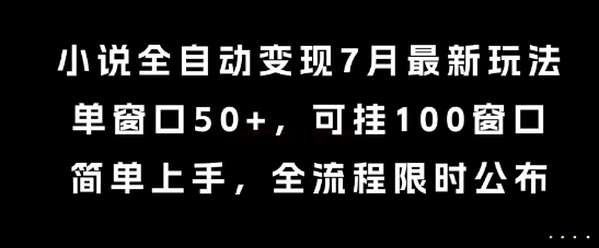 小说全自动变现7月玩法，单窗口50+，可挂100窗口，简单上手，全流程限时公布【揭秘】-云创网