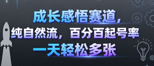 成长感悟赛道，纯自然流，百分百起号率 一天轻松多张-云创网
