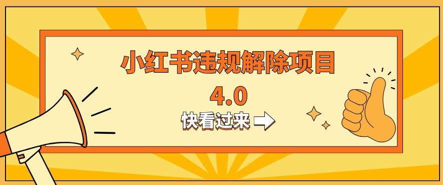 小红书违规掘金蓝海项目，日入800+（附带引流办法及解除办法）-云创网