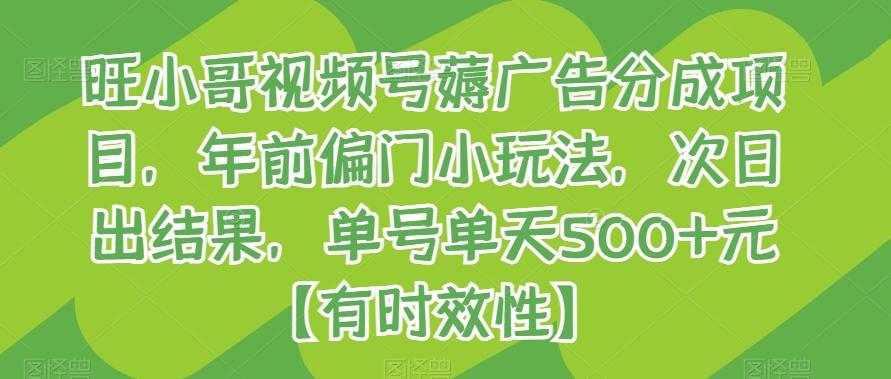 旺小哥视频号薅广告分成项目，年前偏门小玩法，次日出结果，单号单天500+元【有时效性】-云创网