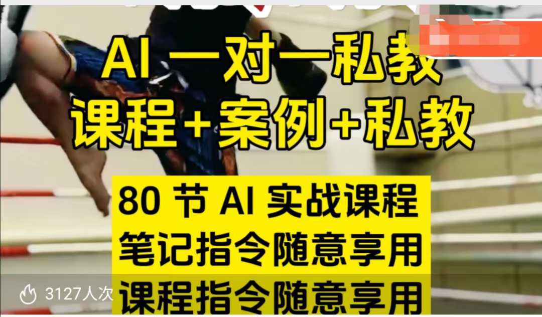 AI指令实战课，课程+案例，80节AI实战课程，笔记指令随意享用，课程指令随意享用(更新7月)-云创网