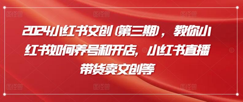 2024小红书文创(第三期)，教你小红书如何养号和开店，小红书直播带货卖文创等-云创网