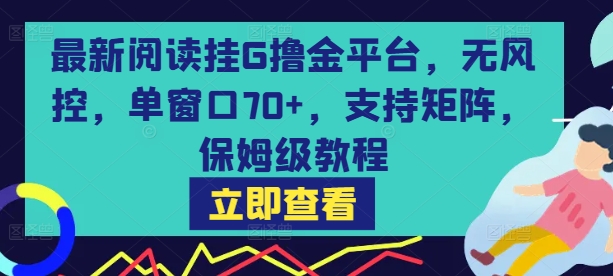 最新阅读挂G撸金平台，无风控，单窗口70+，支持矩阵，保姆级教程【揭秘】-云创网