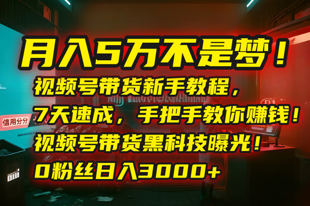 月入5万不是梦！视频号带货新手教程，7天速成，手把手教你赚钱！视频号…-云创网