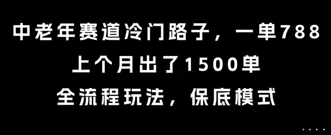 中老年赛道冷门路子，一单788，上个月出了1500单，全流程玩法，保底模式【揭秘】-云创网